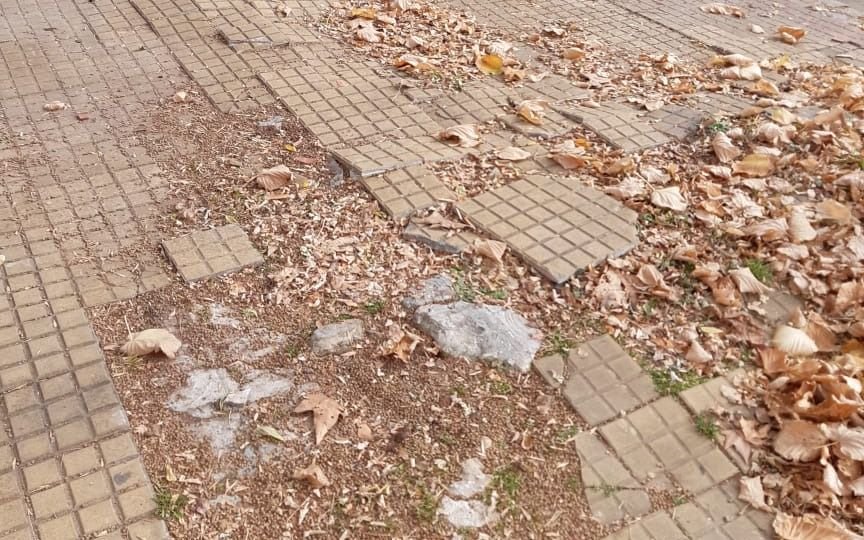 Baldosas rotas en un barrio platense: hablan de cuadra "deteriorada e intransitable"