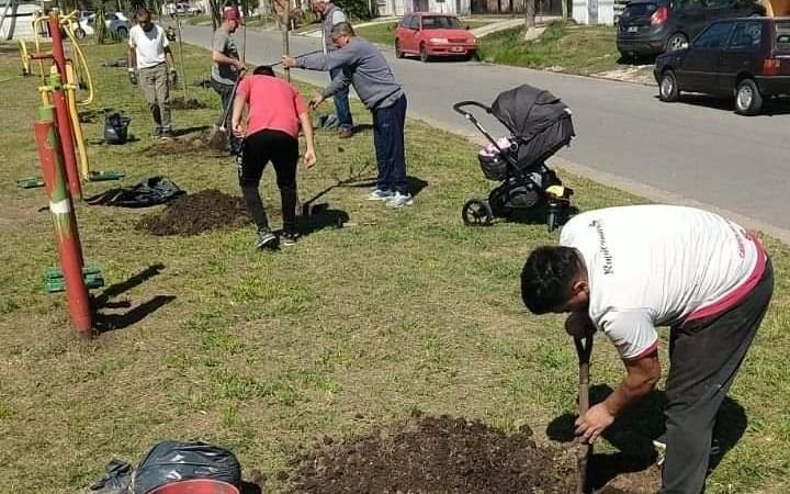 Para aplaudir e imitar: vecinos de un barrio platense plantan fresnos y tilos para promover la forestación