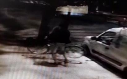 Arrancó de cuajo una bicicleta en el Centro y quedó filmado