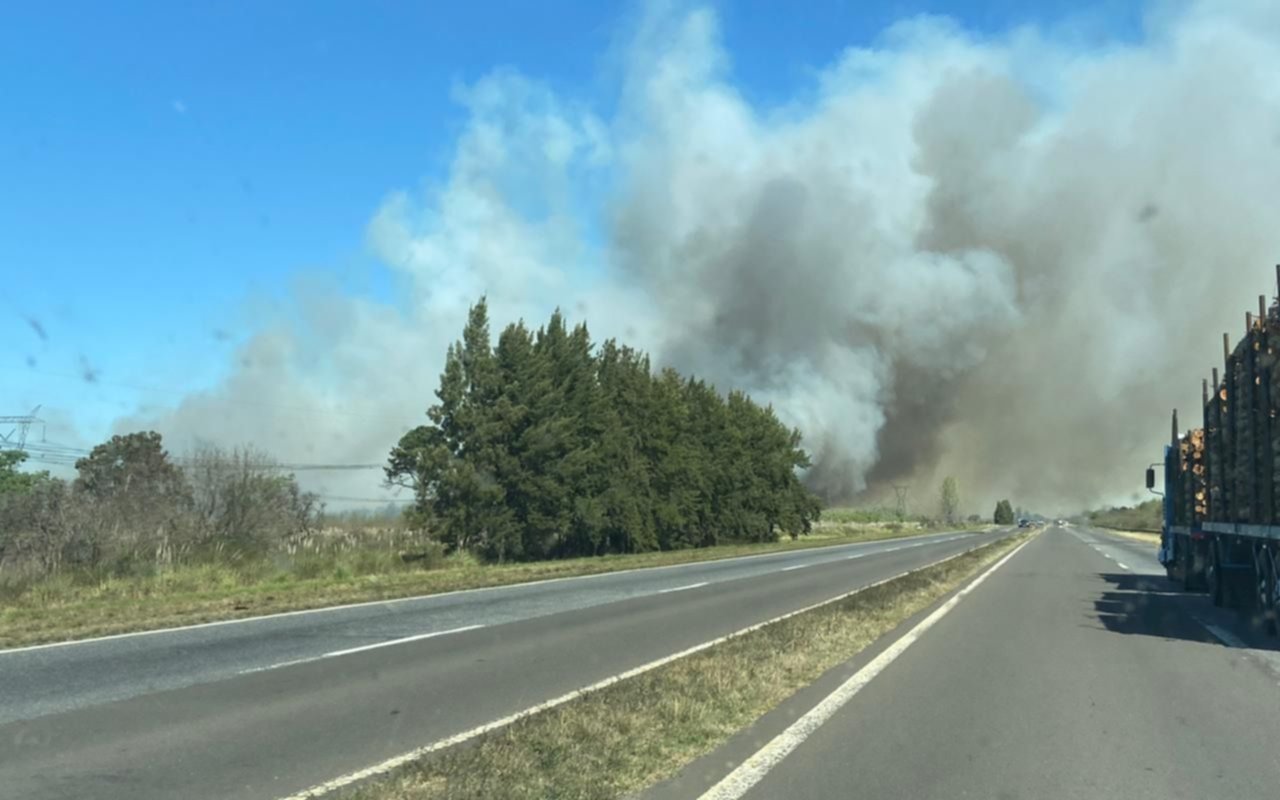 Controlan incendio de pastizales que afectó la Ruta 12 y reabrieron el puente Zárate-Brazo Largo