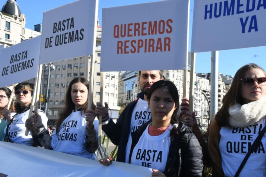 Humedales: en medio de los incendios, piden la ley