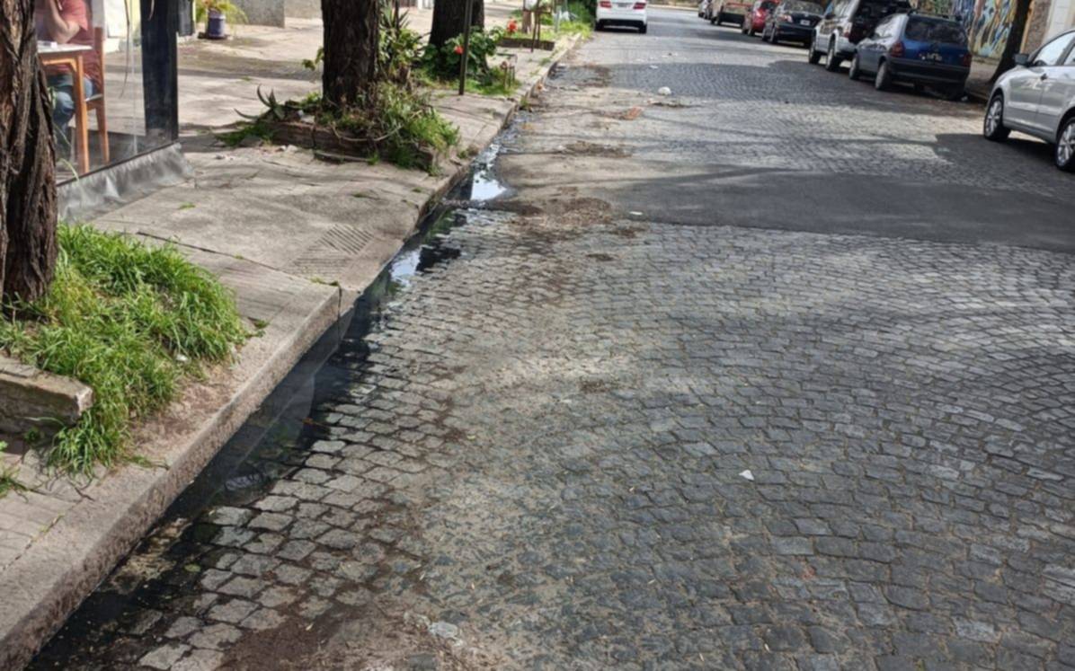 Sin barrido, aguas servidas y pastizales, el reclamo vecinal en Plaza España