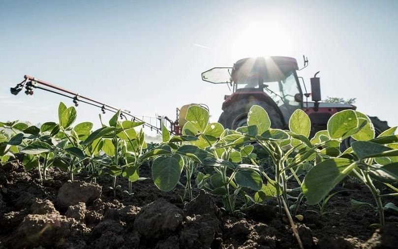 Dólar soja: en dos semanas, el agro liquidó más de u$s 3.500 millones
