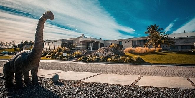 Cuatro Pinot Noir argentinos fueron reconocidos en el extranjero