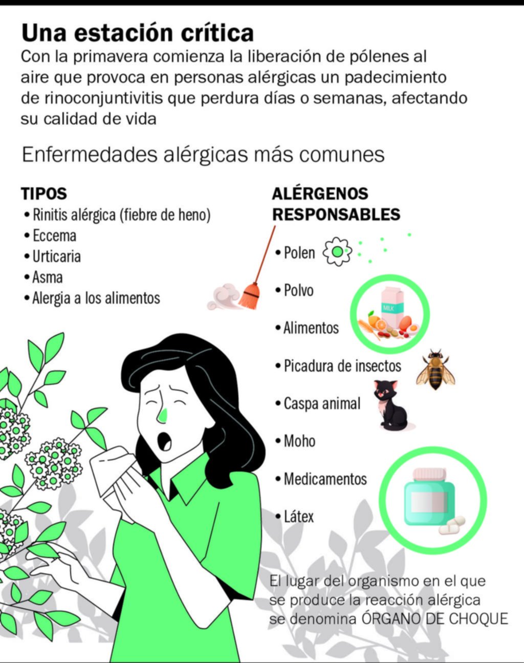 Alergias: claves para reducir su efecto en primavera