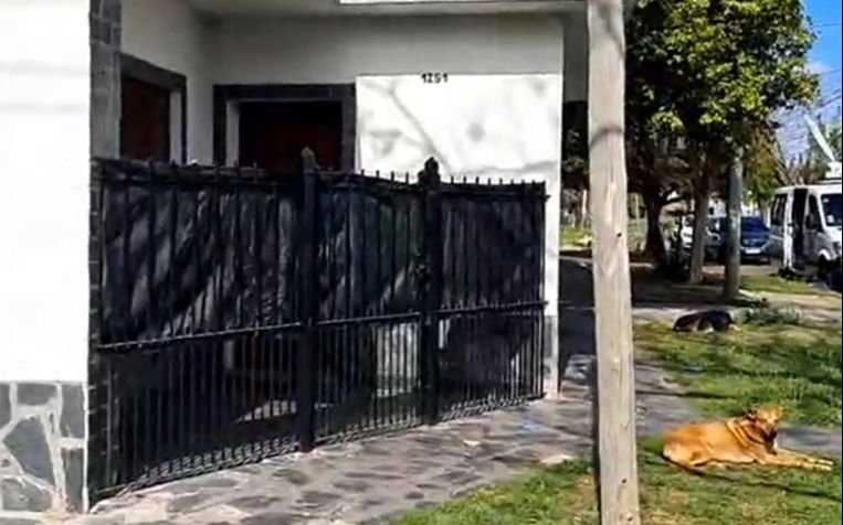 ¿Femicidio seguido de suicidio o pacto suicida? Ya saben cómo murió la pareja en La Plata