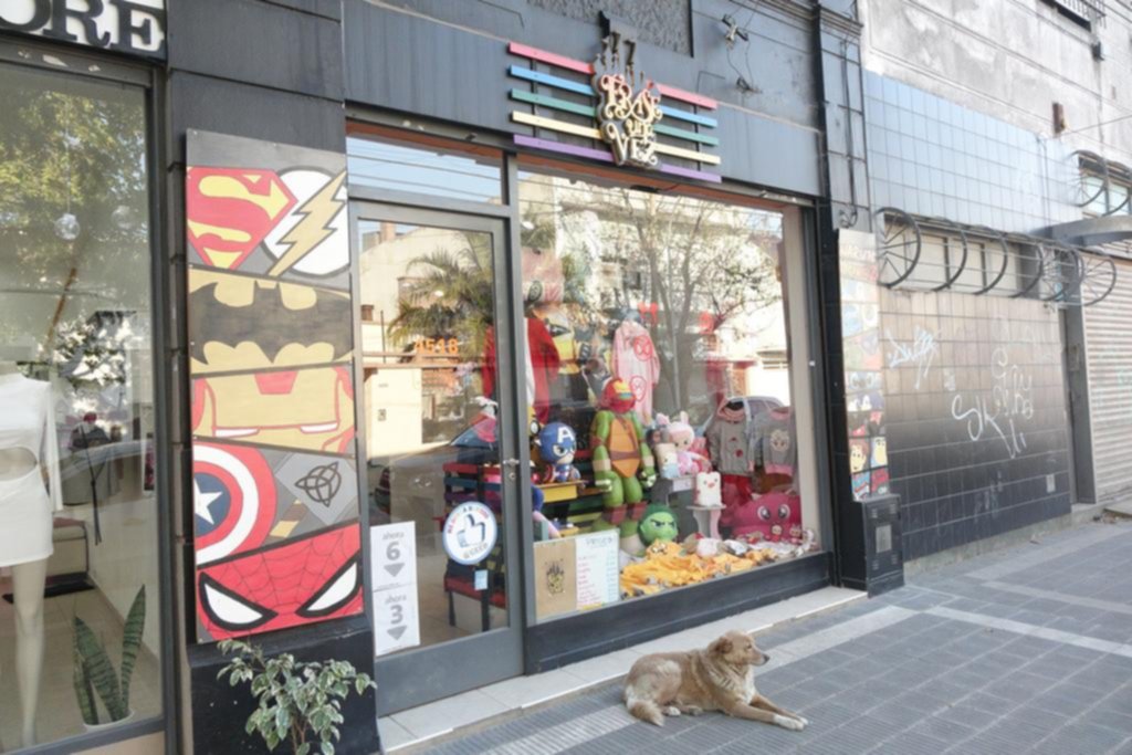Raid “mechero” en Berisso: roban en 4 locales en 90 minutos