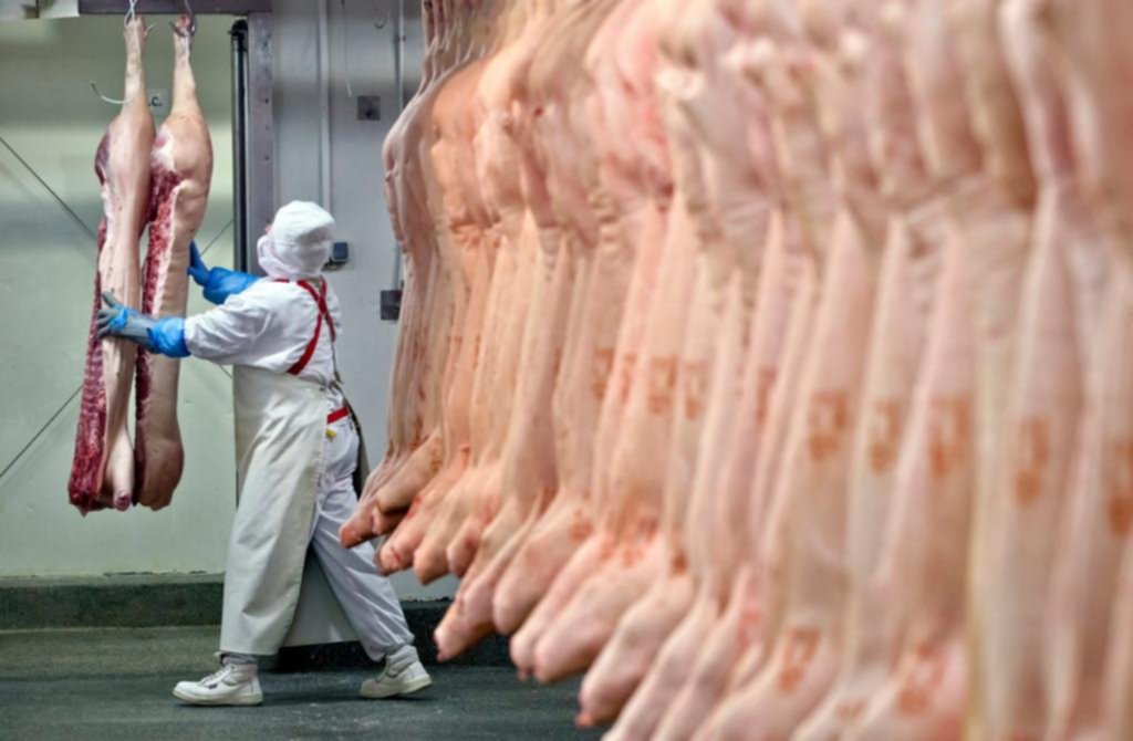 Proyectan más ingresos para el Central por la apertura del cupo para exportar carne