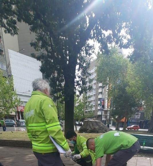 Estupor por la muerte de otra persona desamparada