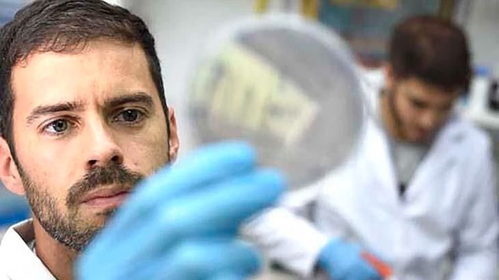 Nuevo aporte de la ciencia platense: nanopartículas para curar el hígado