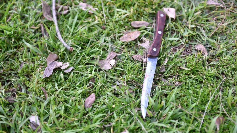 Crimen del ingeniero: el recorrido del homicida y la sangre en el cuchillo
