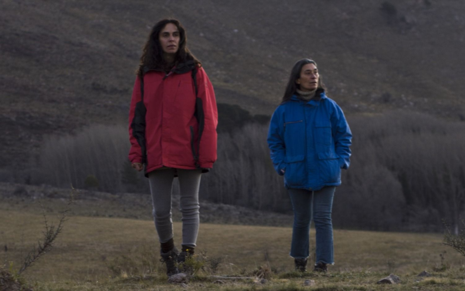 "Amigas en un camino de campo": la amistad, la poesía y la pérdida