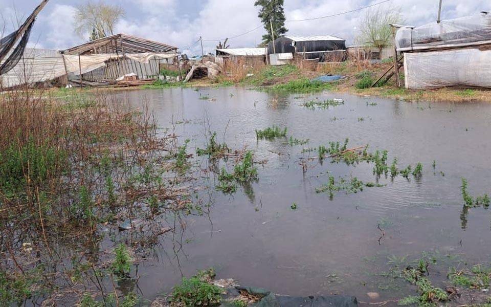 La Provincia asiste con $ 802 millones a productores frutihortícolas de La Plata y la Región por los daños de la última tormenta