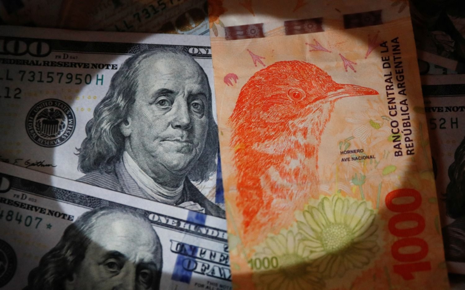 Dólar blue hoy y dólar hoy: a cuánto cotiza este jueves 14 de septiembre