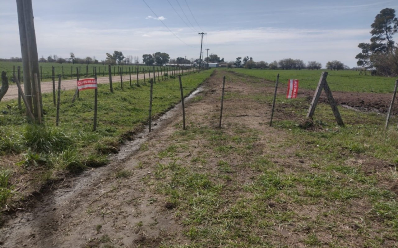 Nueva denuncia en Ignacio Correas: aseguran que sigue la venta de terrenos a pesar de la clausura 