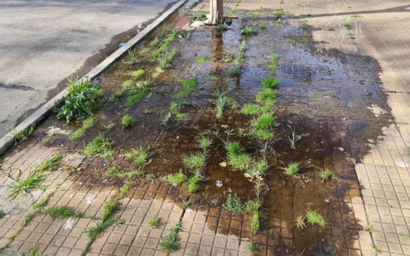 Vecinos reclaman por la reparación de una pérdida de agua que está hace meses