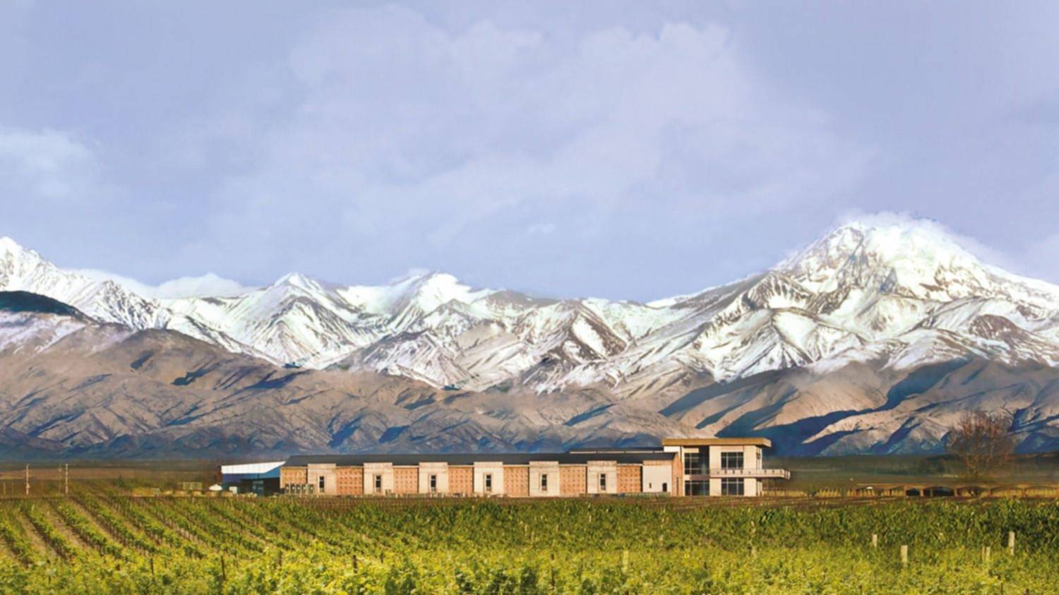 Bodega argentina finalista a un Trophy IWSC al productor del año