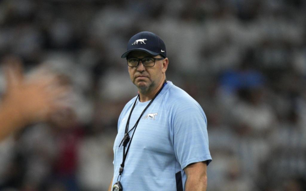Cheika dejaría su cargo para dirigir en Australia
