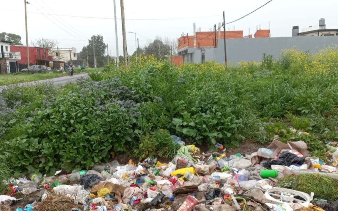 Pasto largo y basura desparramada, una preocupación para los vecinos de La Plata