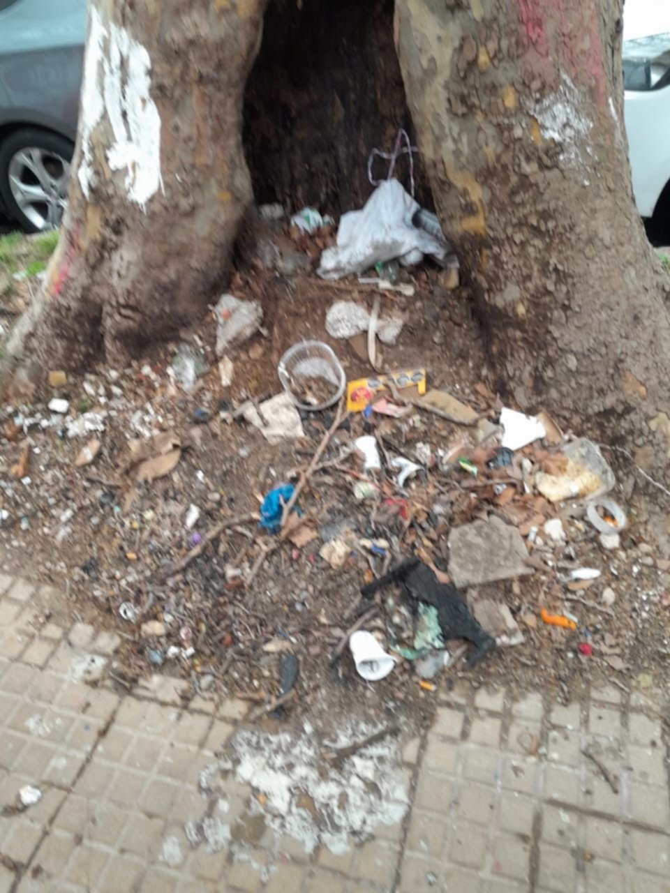 Una vereda "abandonada y deslucida", motivo de indignación vecinal en pleno centro de La Plata