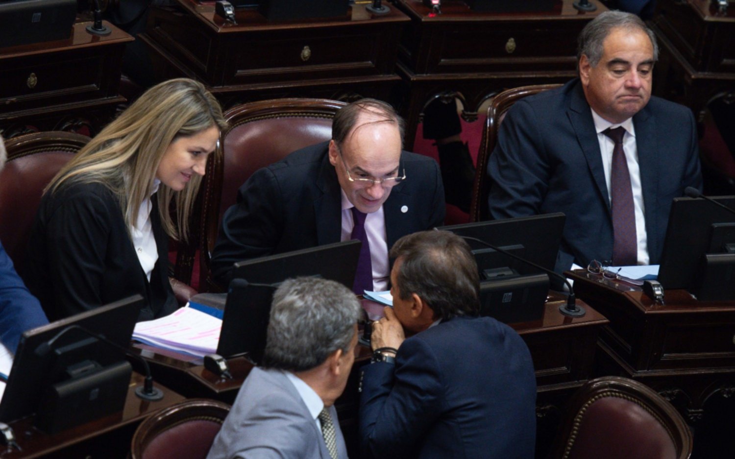 Mega sesión del Senado: el oficialismo aprobó el pliego de la jueza Figueroa