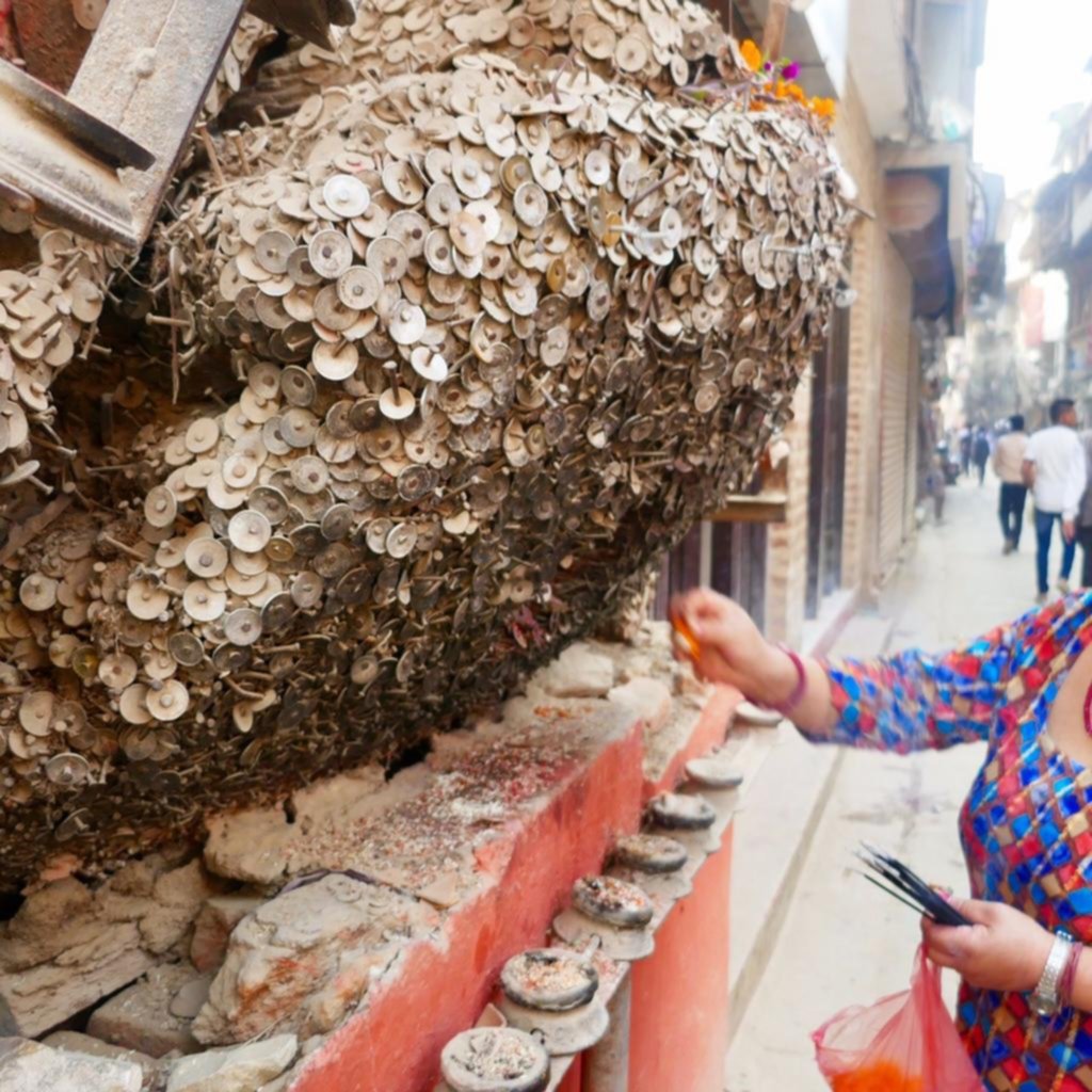 El árbol sagrado al que se le pide que se vaya ... el dolor de muelas