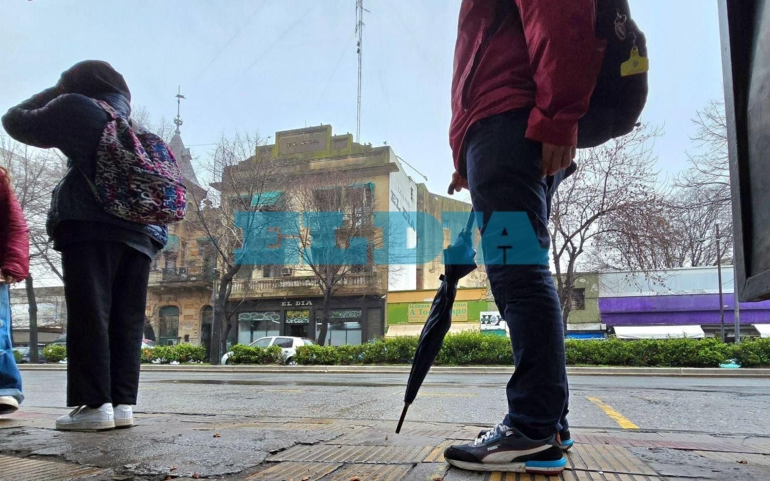 Tras la tormenta, a La Plata llegaría la “primavera meteorológica”: de qué se trata el anuncio del Servicio Meteorológico Nacional