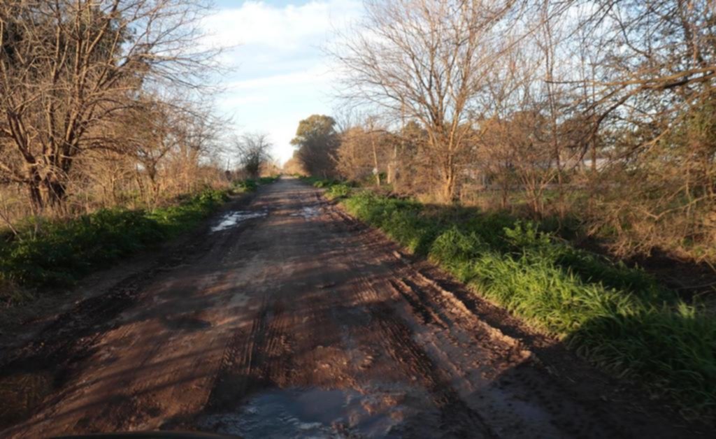 El “Far West” de La Plata: ladrones a caballo asaltaron a una familia