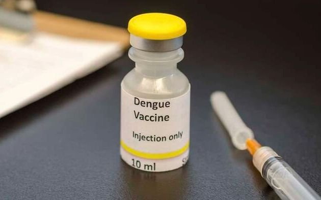 Vacuna anti dengue en la Provincia: quiénes pueden aplicársela, desde cuándo, cómo hay que inscribirse y descuento con IOMA