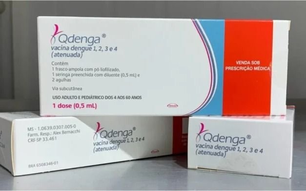 ¿Puedo vacunarme contra el dengue si tengo más de 60 años? Qué dicen los expertos