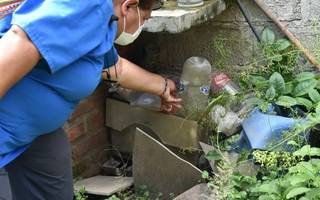 El dengue y la importancia del descacharrado: "Es responsabilidad nuestra, el Estado no puede entrar a fumigar a cada casa"