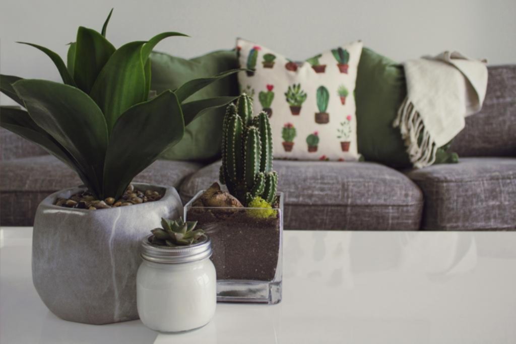 Una forma para recobrar toda la energía de la casa