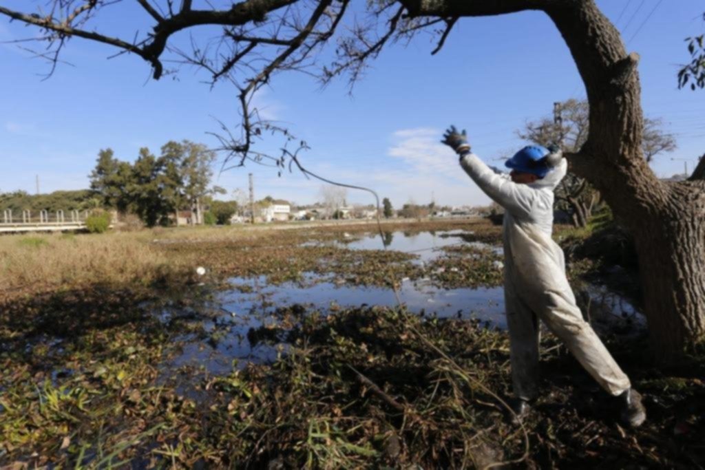 La Justicia federal ordenó medidas para recuperar el Canal Oeste