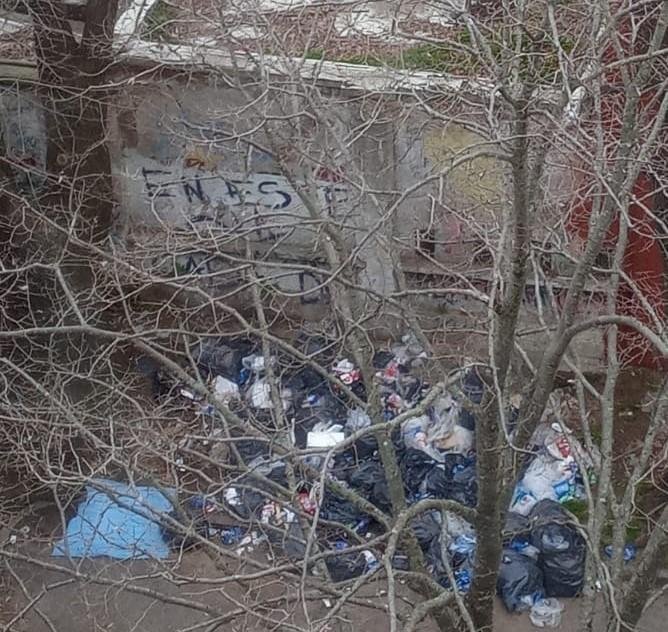 Un basural en la esquina de 43 y 116 a pocos metros del Hipódromo