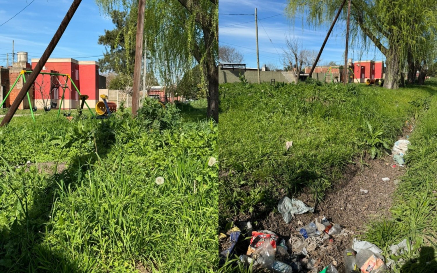 Vecinos denuncian estado de abandono de una plaza en San Carlos