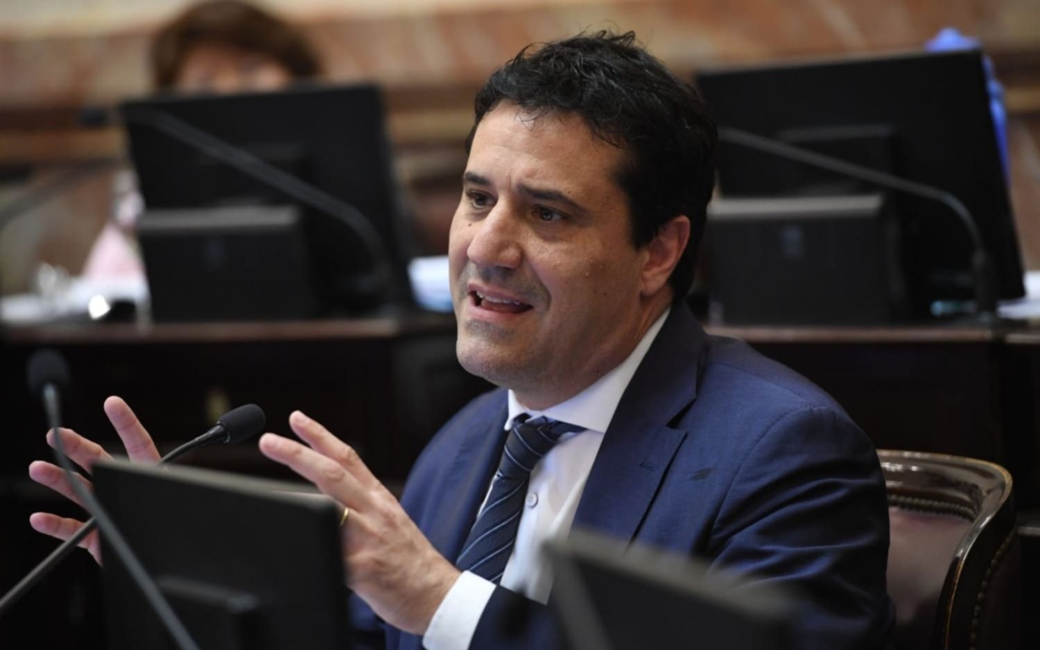 Abad: "La Boleta Única de Papel es más transparente, equitativa, austera y sustentable"
