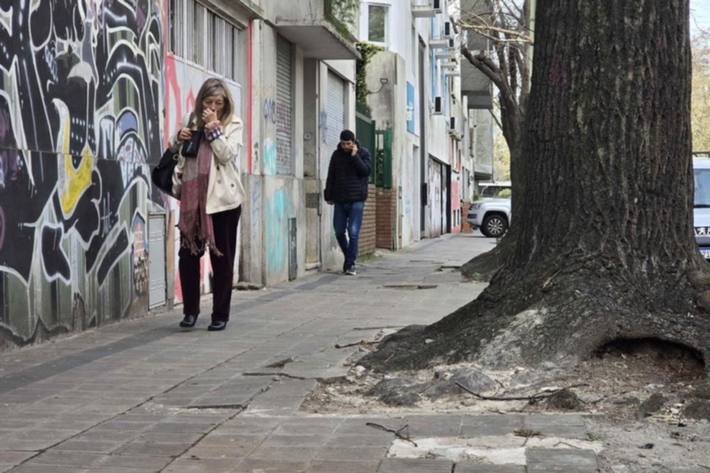 Raíces que brotan de las veredas: riesgo evitable