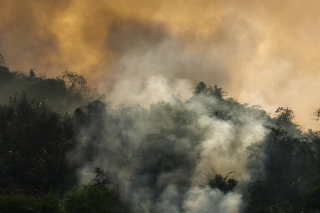 La lluvia negra de los incendios se extiende por el sur de Brasil