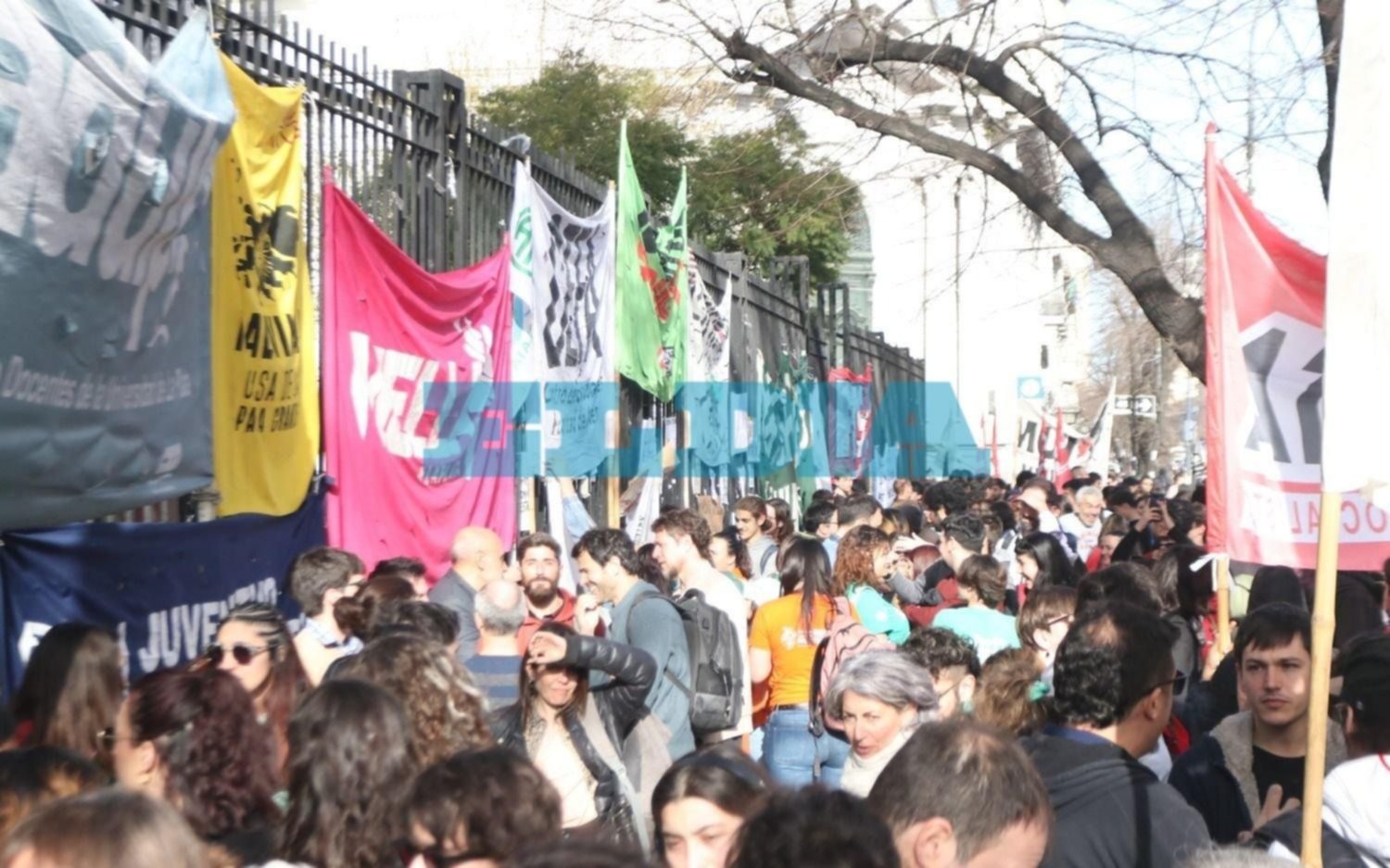 Trabajadores no docentes de la UNLP anunciaron un nuevo paro: cuándo será