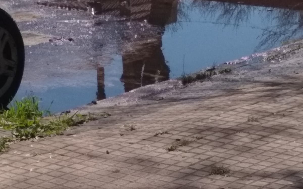 Una pérdida de agua preocupa a un grupo de vecinos en La Plata