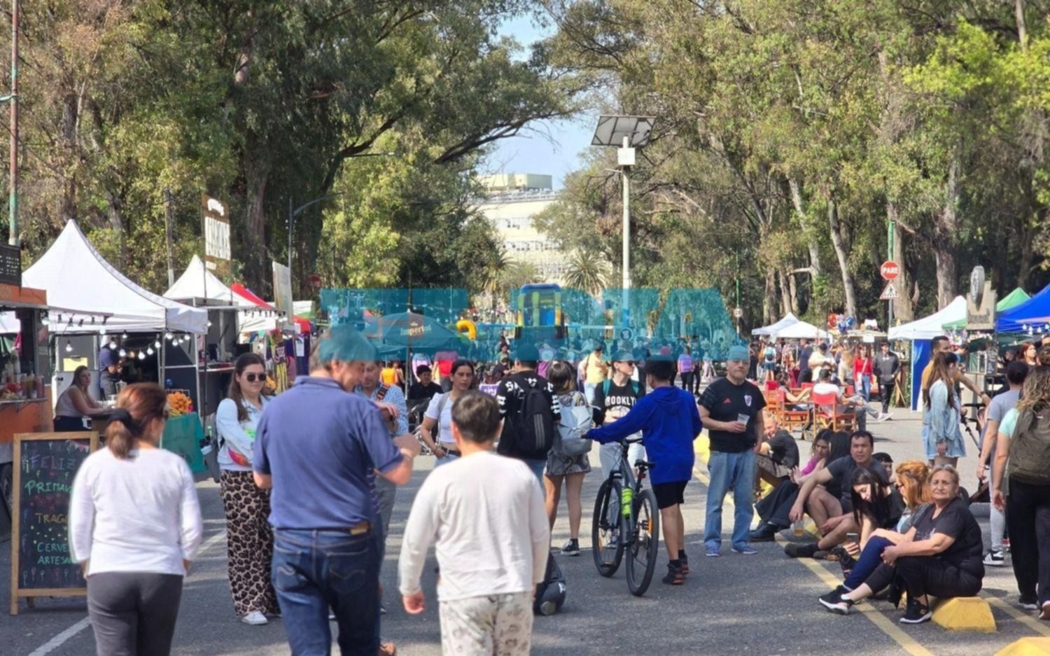 Música, comida y aire libre: la agenda para recibir la Primavera en La Plata