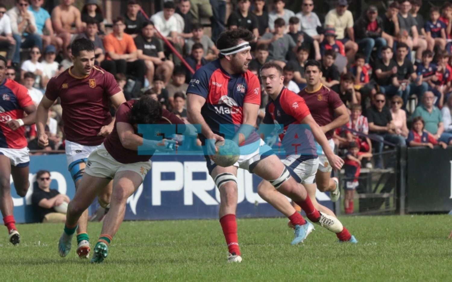 El Rugby de la Región: derrota de San Luis y triunfos de Los Tilos, La Plata RC y Universitario