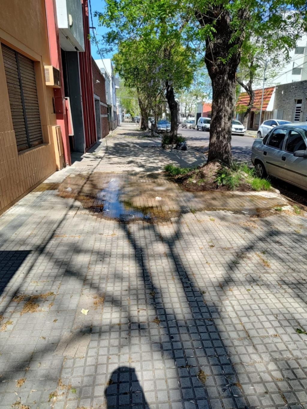 Abundante pérdida de agua en la vereda de 61 entre 21 y diagonal 74