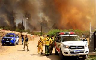 Incendios forestales en Córdoba: "El fuego ya ha consumido entre 80.000 y 90.000 hectáreas"