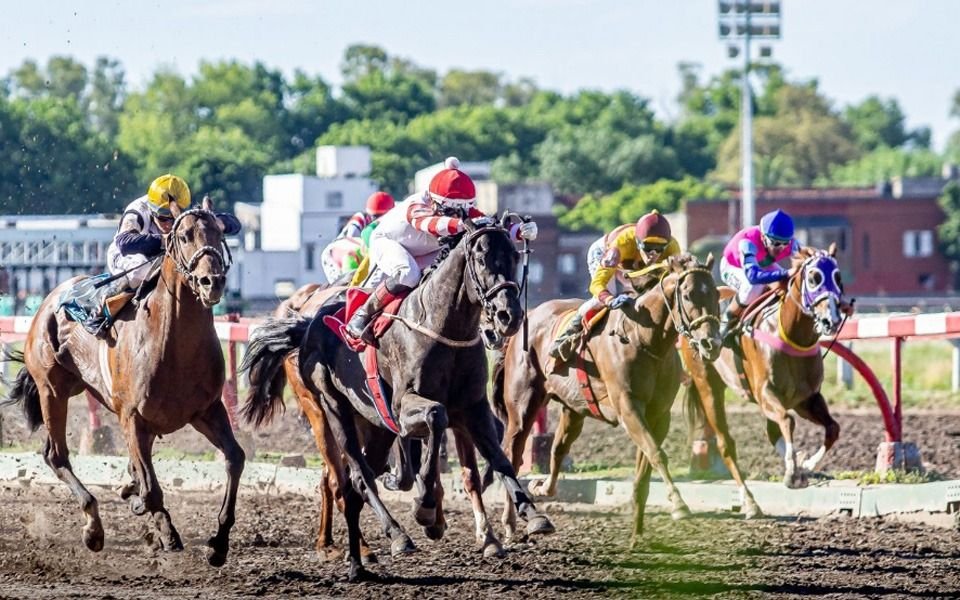 Tras el conflicto "a tiros", confirman cuando vuelve la actividad al Hipódromo de La Plata