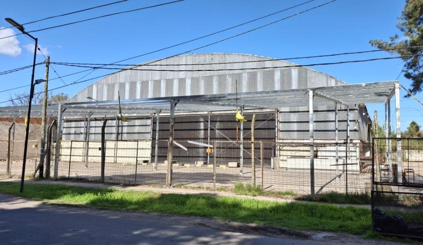 Las ferias “Saladitas” crecen y se multiplican en La Plata: cuántas hay y qué venden 