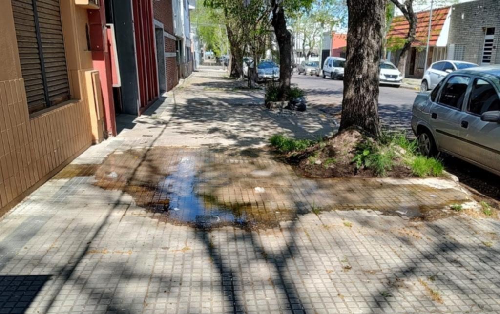 Un charco en la vereda, en 61 entre 20 y 21, por una pérdida de agua