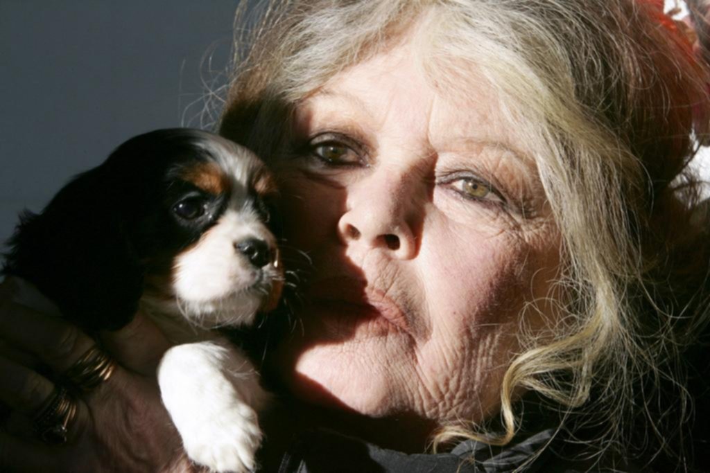 Los 90 de Brigitte Bardot: “Vivo el día a día y así me va muy bien”