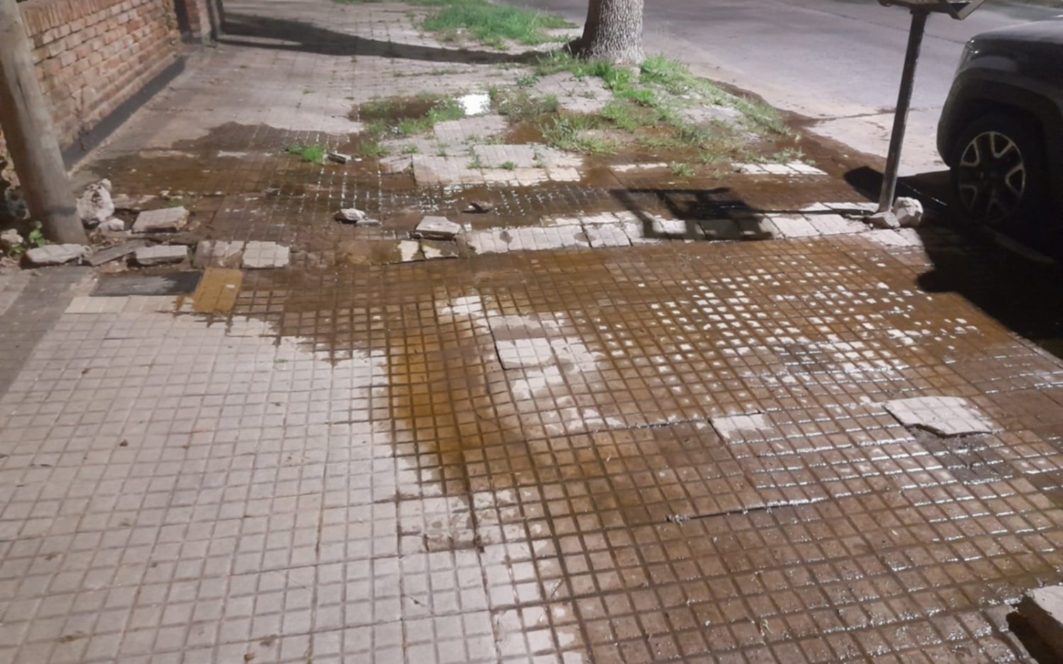 Pérdida de agua en un barrio de La Plata: lleva más de 5 meses y temen por la gente grande que "resbala"