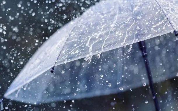 La Tormenta de Santa Rosa desató su furia en La Plata: diluvio de madrugada y cuánto llovió, barrio por barrio